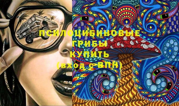 стаф Алексеевка